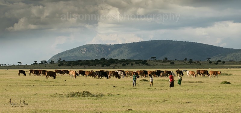  - Faces of the Masai