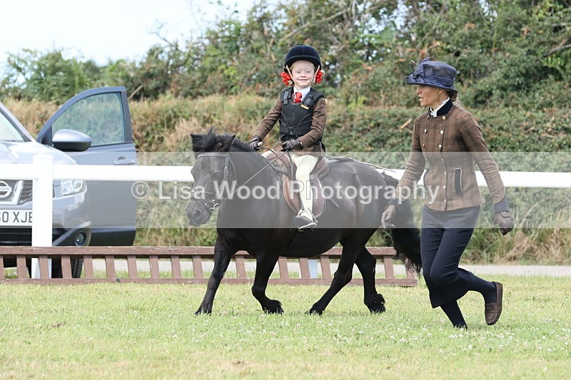 JPP_1900 - Class 18: Tiny Tots Working Hunter Pony