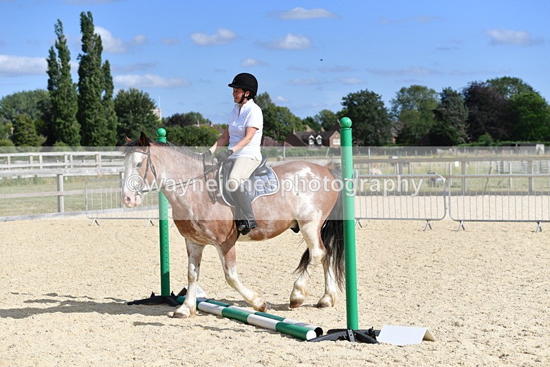 WJ5_5540 - Poles on the Floor