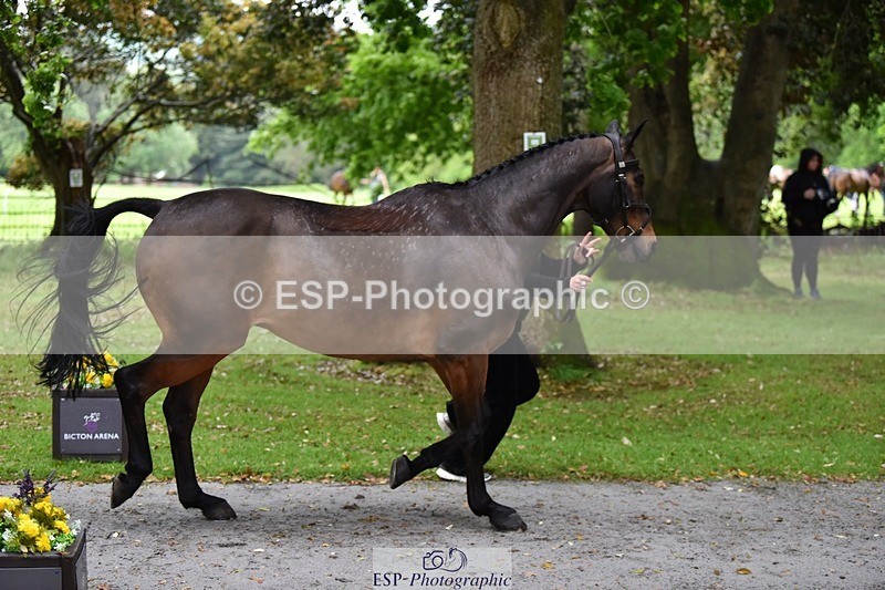 240522-155212-00544 - 164-MOONLIT_SWAYZE-Daisy_Bathe