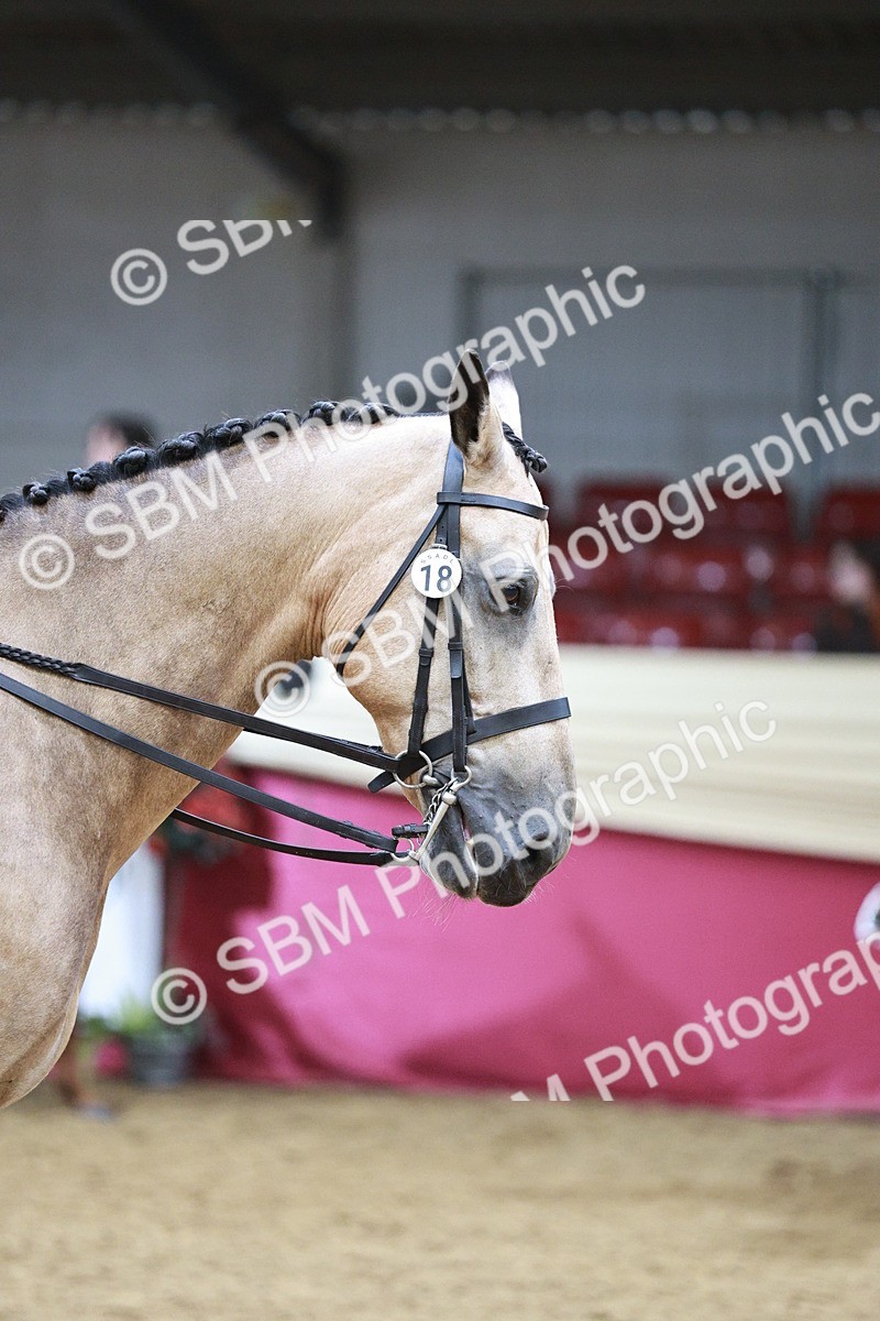 SBM_03423 - Class 6A Area Ridden Pre-Vet
