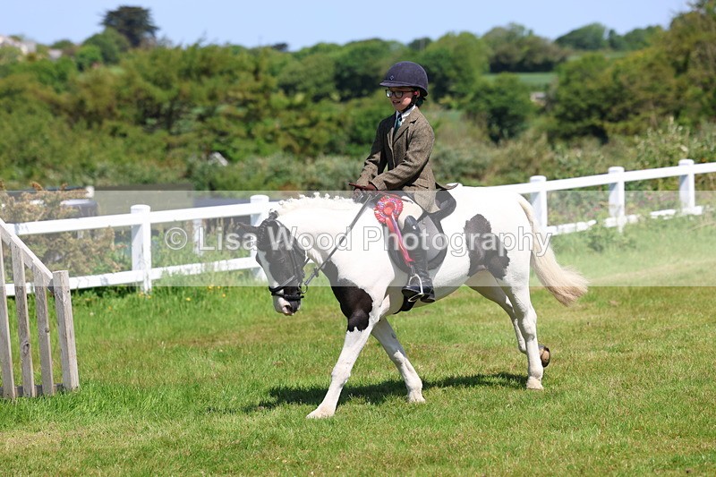 3E7A6769 - Working Hunter Pony Championship