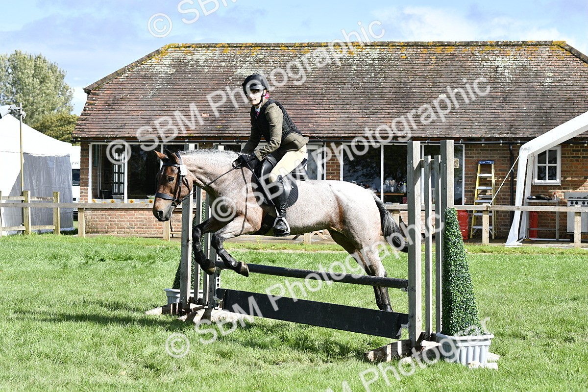 SBM_45660 - S33 - Working Hunter Pony