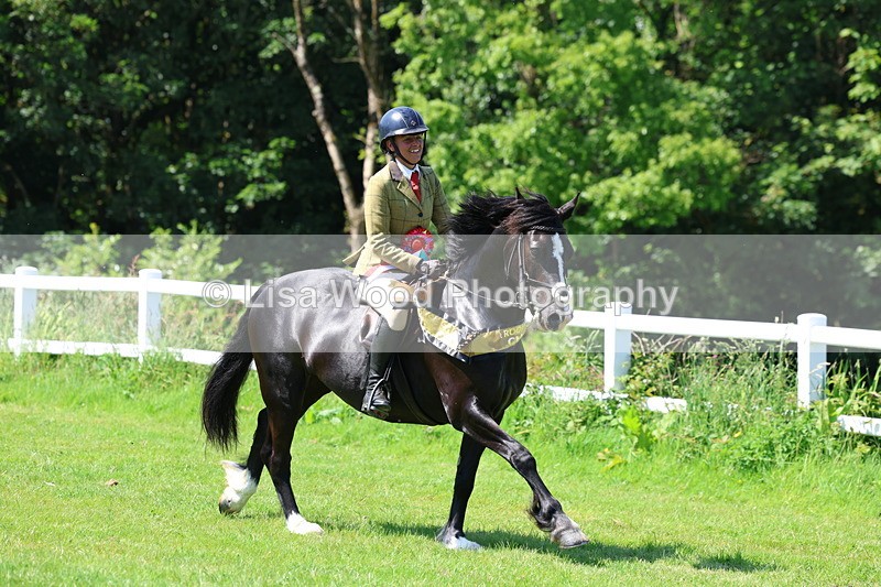 3E7A6844 - Working Hunter Pony Championship