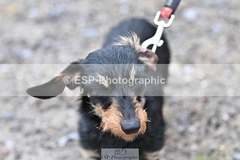 241206-144206-01123 - Naomi