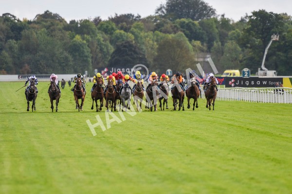 230923-Race 4-Aphelios-5678 - Race 4 3.45pm Jigsaw Sports Branding Handicap