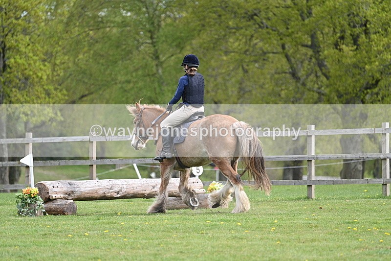 WJ7_6379 - 60cm Time 11:12 to 11:36