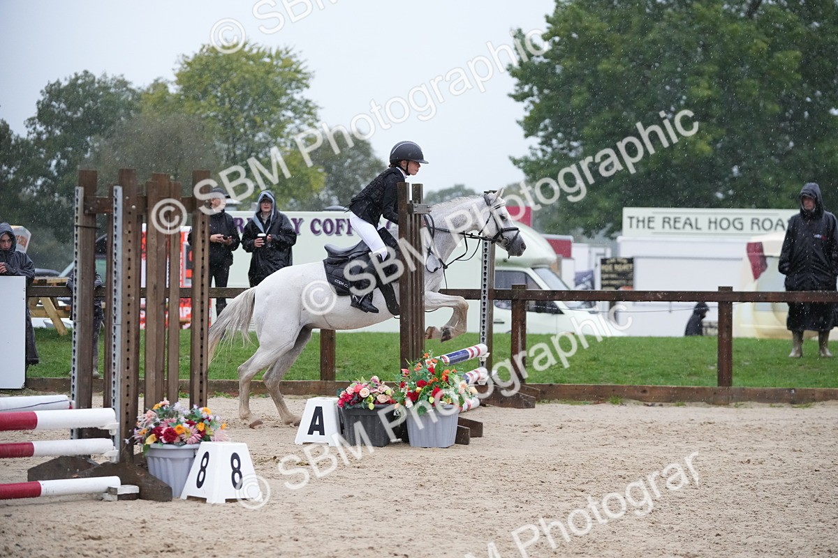 SBM_36158 - J5 - Junior Pony 50cm Championship