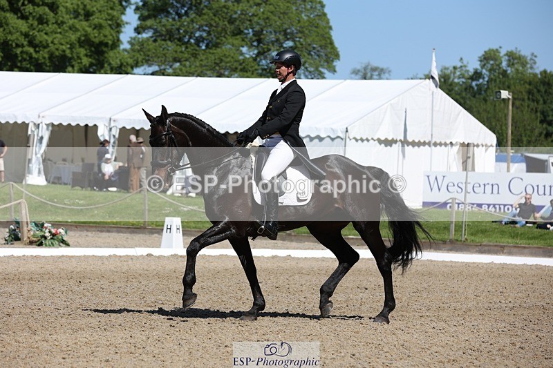 230526-103944-05301 - 363-RLE_KHALEESI_C-Christopher_Wincer-WEDTrotUp+DR