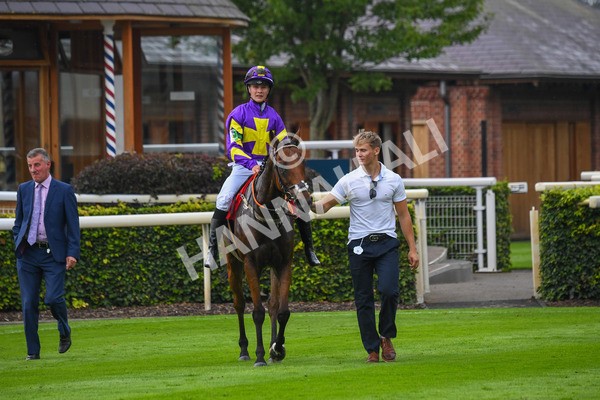 100923-Pony Race 2-Its Fatherted-0317 - Pony Race 2 12.45 The Dragon (TV and Film) Studios Pony Race 148cm & Under