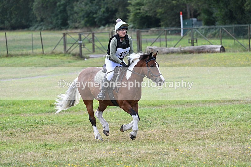WJ7_1046 - 40cm Time 11:28 to 11:53