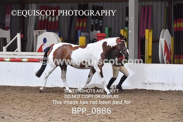 BPP_0886 - RING 2