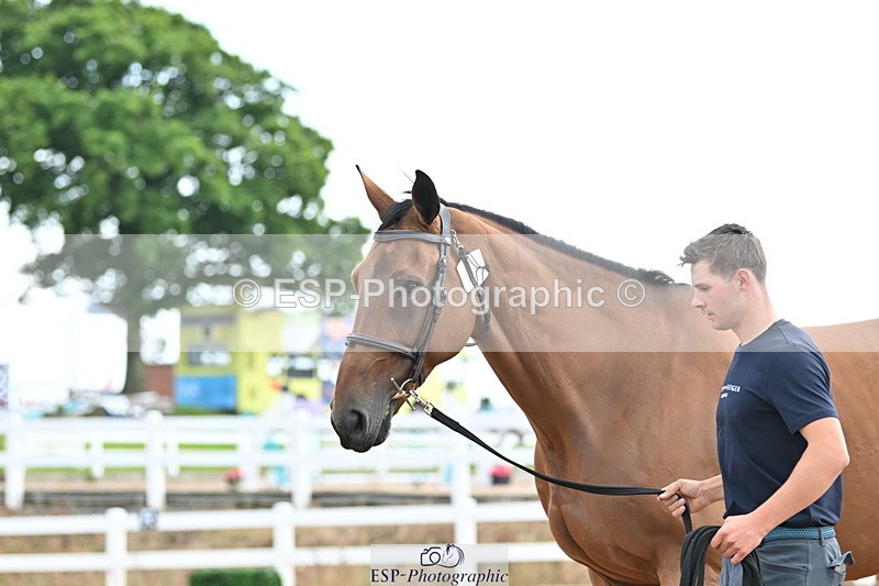 240717A-143640-02147 - Trot Up 2pm to 3pm - This folder is not in time order