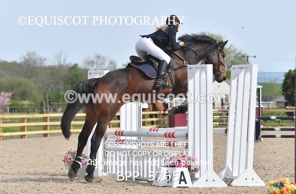 BPP_3765 - CLASS 3 Senior British Novice/ 90cm Open