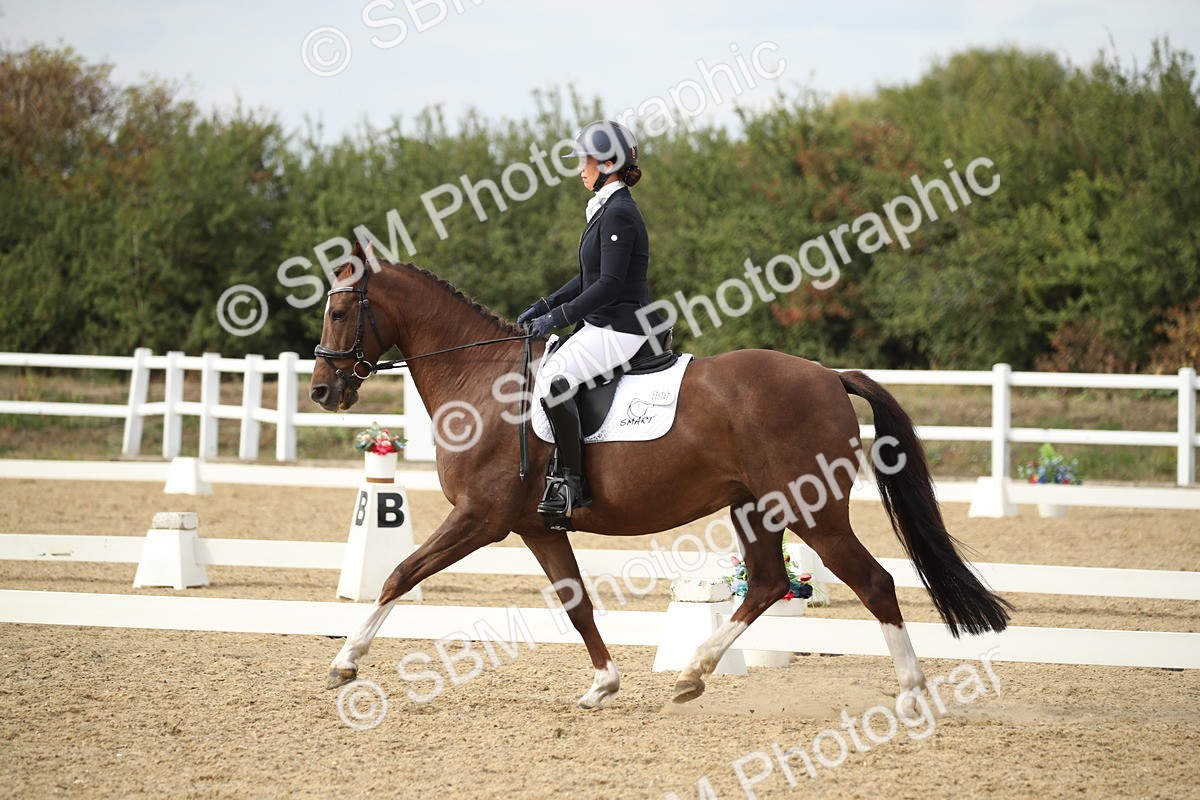 SBM_003486 - Class 6 - Elementary 5 - 16.10-16.43