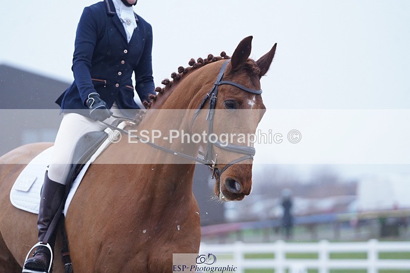 250215-095134-02713 - 115-Blythe.Jopling-Primitive.Ocean