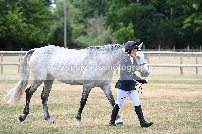 WJ7_1877 - Class 4a Prettiest Mare 14.2hh and over hand
