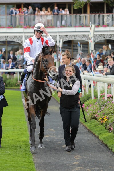 yr17082022r3-55 - Race 3 3.00pm Sky Bet Great Voltigeur Stakes