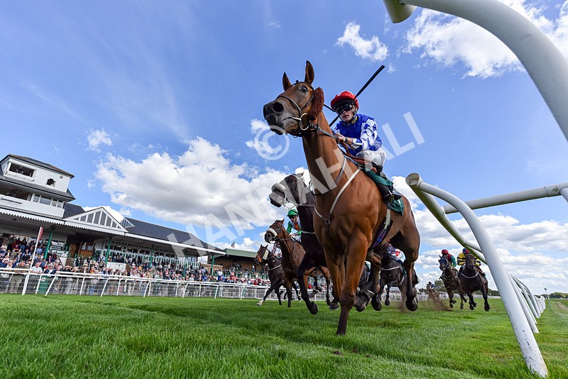 090925-Race 2-Equity Law-1529 - Race 2