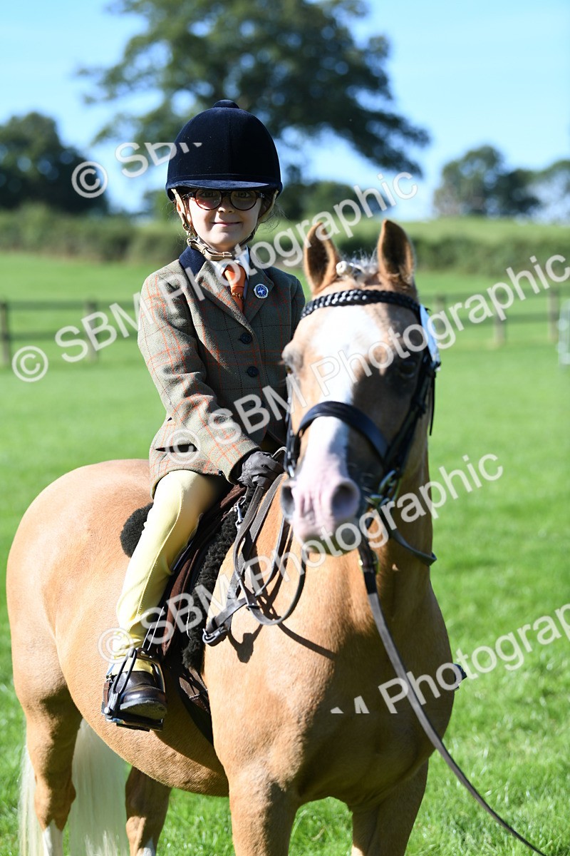SBM_36862 - S18 - Novice & Newcomers Lead Rein Pony