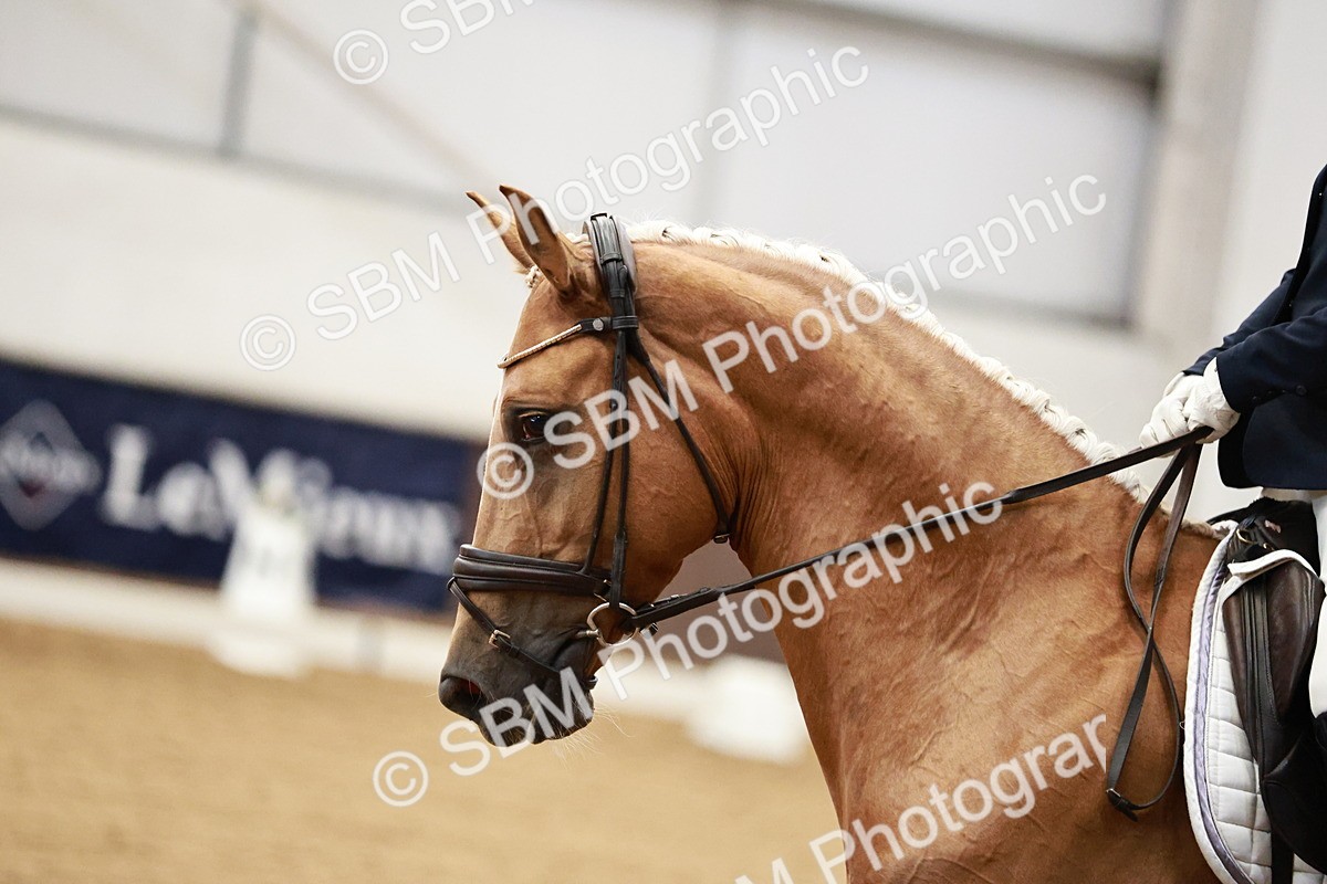 SBM_000048 - Class 1 - Prelim 6 Gold - 10.00-11.10