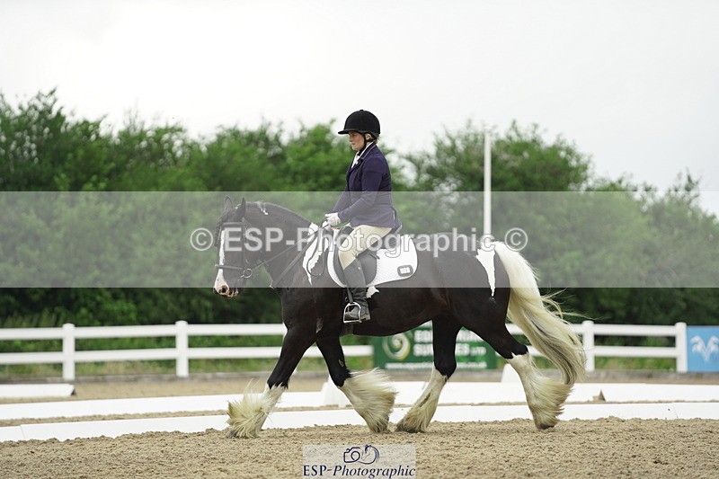 230708A-100300-00286 - Intro C