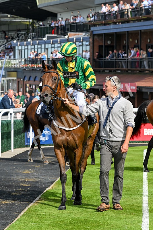 240625-Race 6-Quirke On Parole-9071 - Race 6