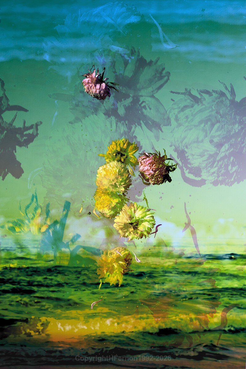 ENTROPY TRIPTYCH l-lll - ENTROPY 2023