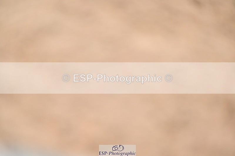 240608A-144245-02804 - Cls 5 Snr Foxhunter and 1.20m Open