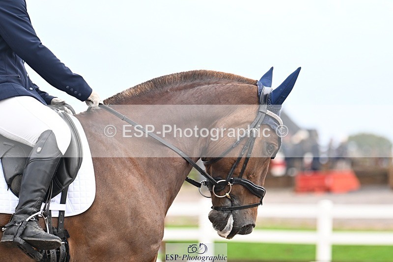 250907-110032-07085 - 017-Natalie.RosewarnePenpont.Fancy.That