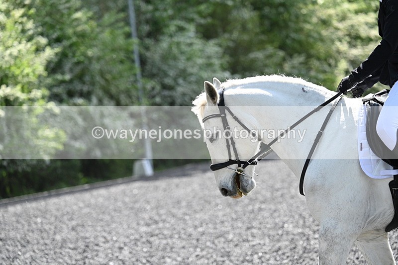 WJ7_0504 - Time 13:29 to 13:59
