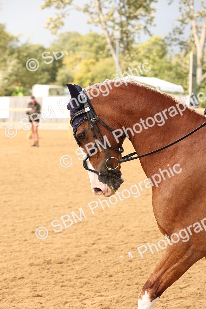 SBM_09157 - D30 - Small Tour PYO Open