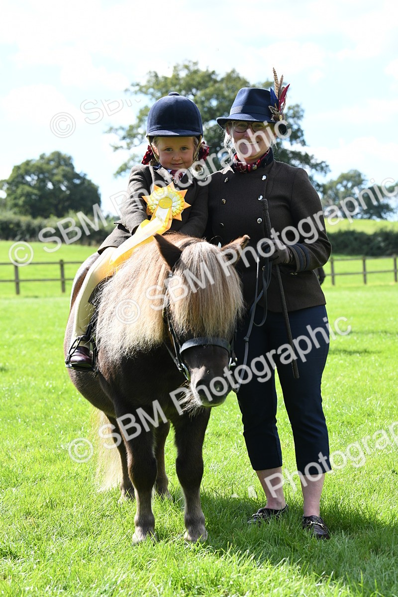 SBM_42651 - S20 - Lead Rein Mountain & Moorland Pony