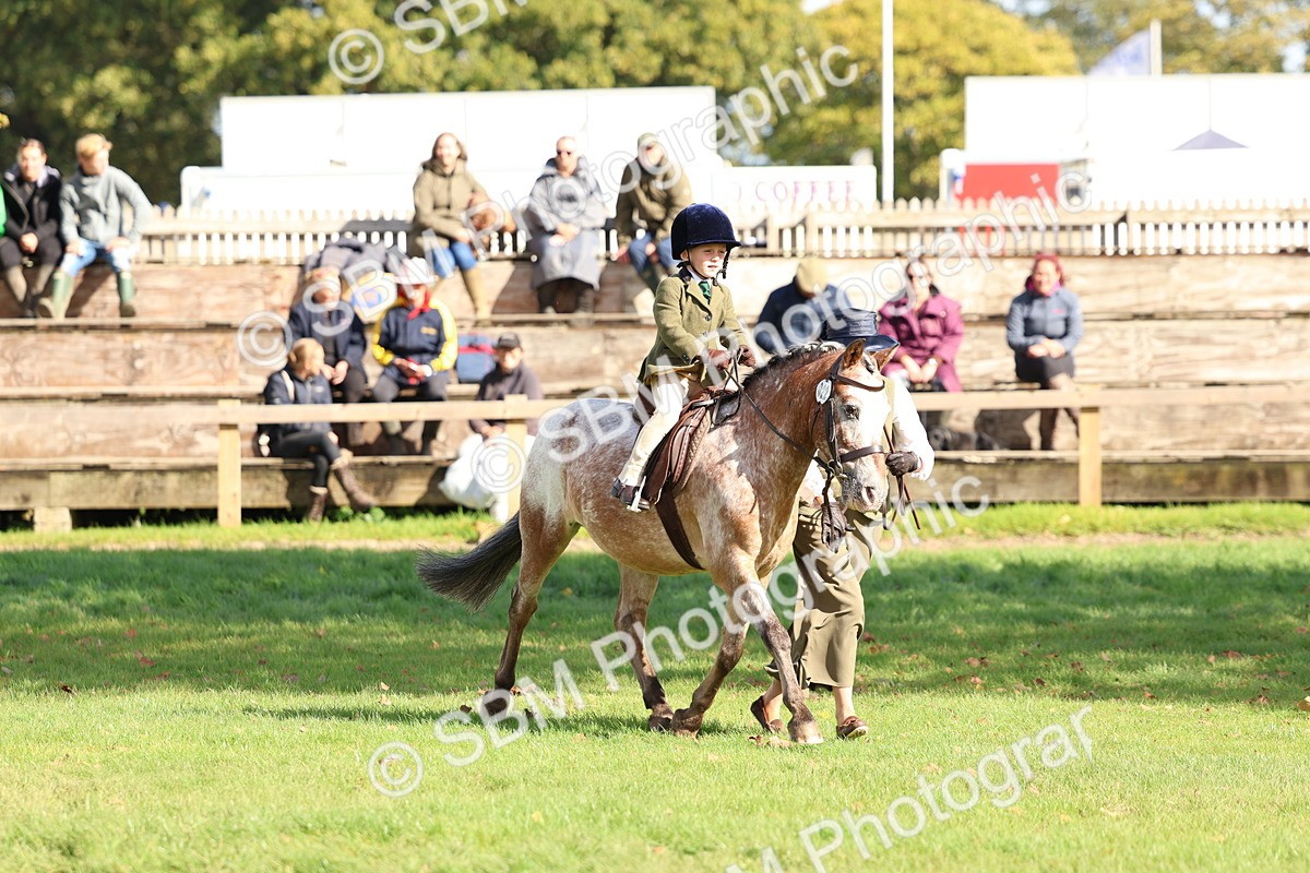 SBM_47737 - S28 - Veteran Ridden