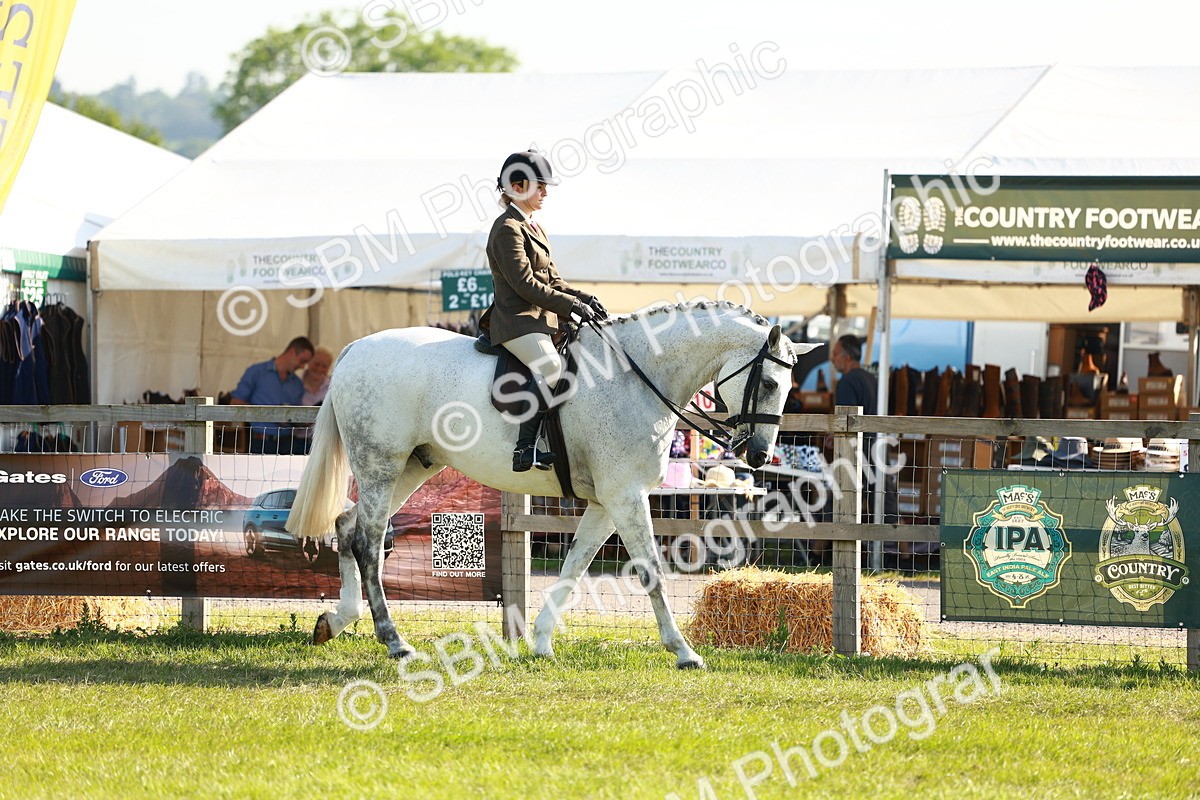 SBM_10870 - Class 66-69 - RIHS Ridden Hunters Inc Small Hunter