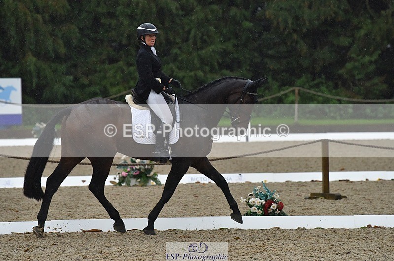 231018-154226-00853 - 012-ROMANY.CRICKET-Nana.Dalton-DR