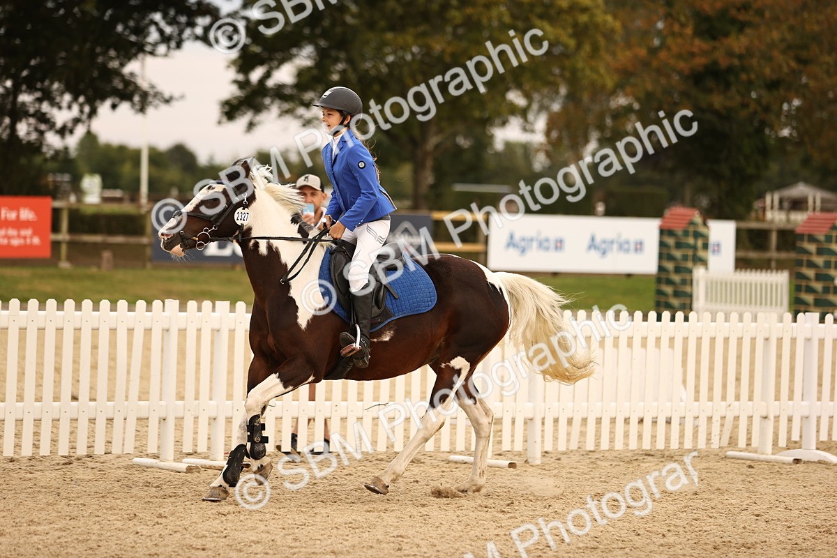 SBM_74508 - J14 - Junior Pony 65cm Championship