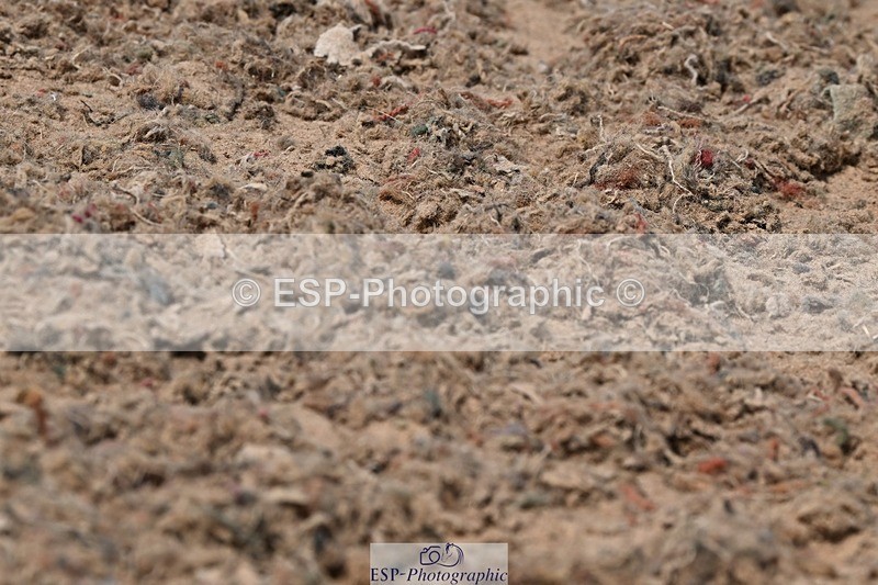 250621-150038-11678 - Cls 30 - Elementary 6