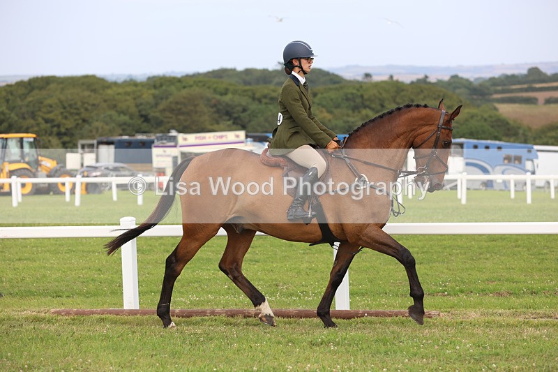 JPP_4411 - Class 26: Working Hunter 1m
