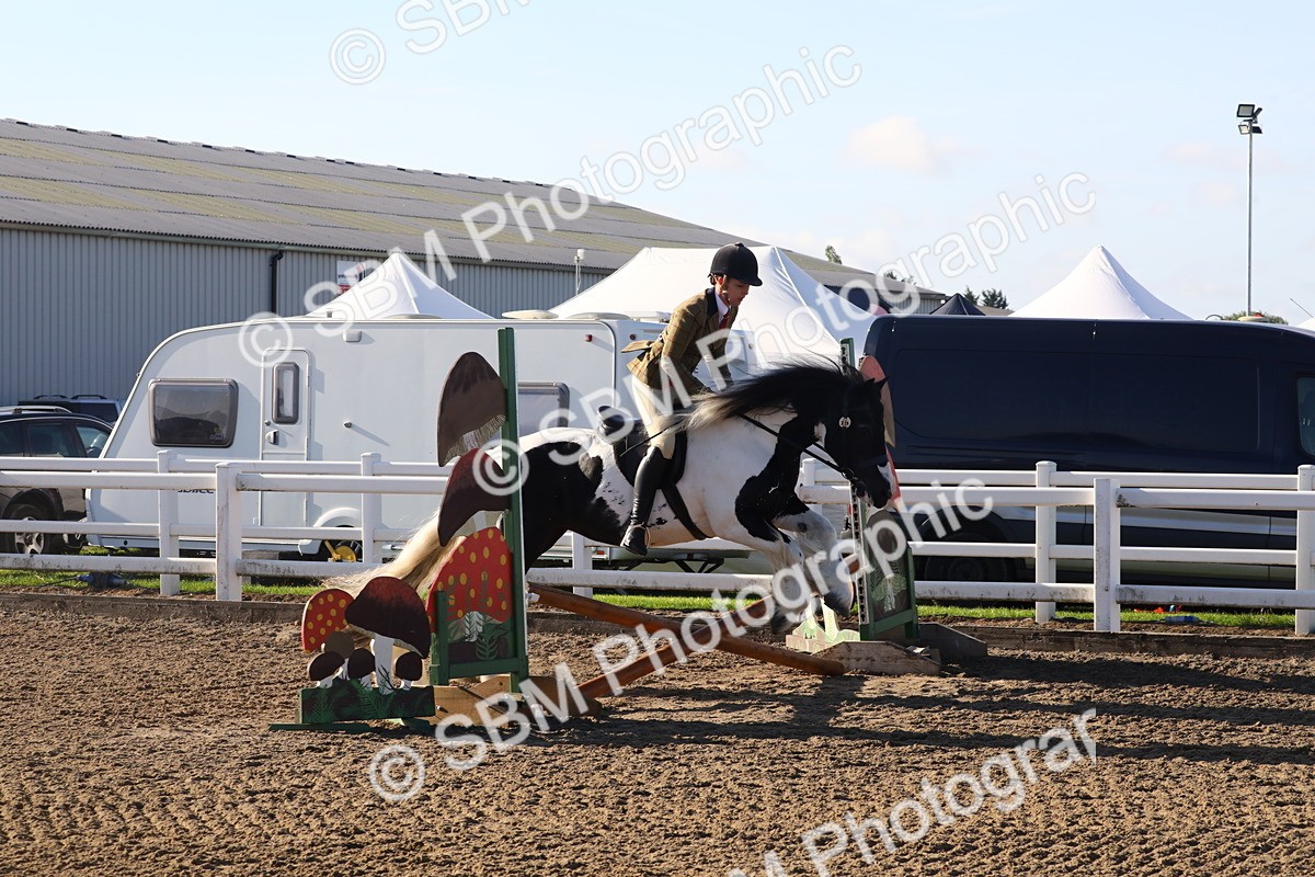 SBM_07917 - Class 501 - Riding Club Pony