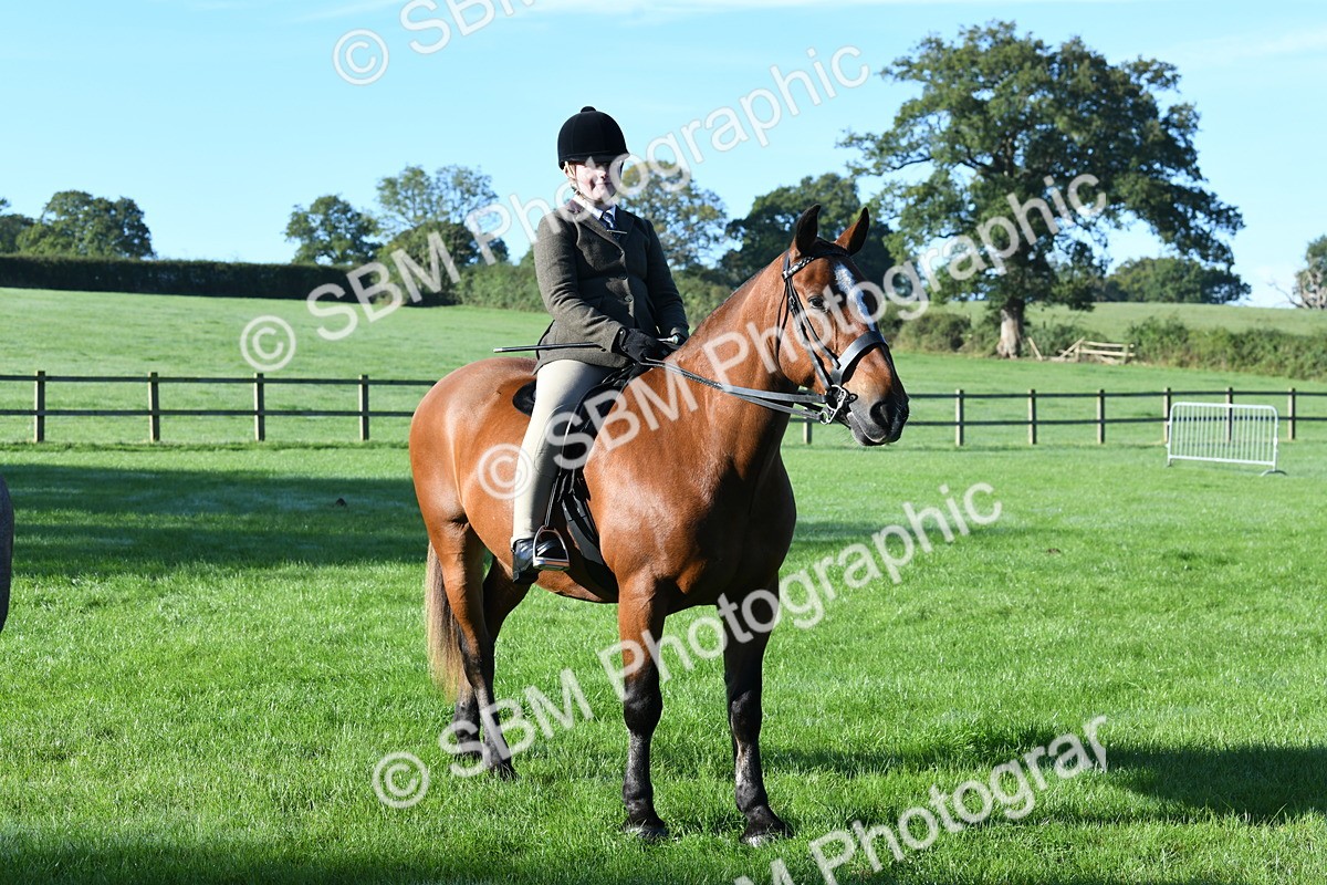 SBM_34029 - S16 - Condition & Turnout - Ridden