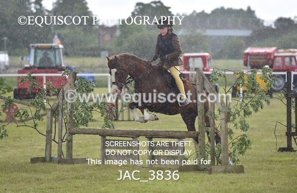 JAC_3836 - 65cm WORKING HUNTER