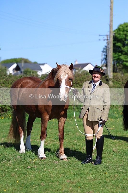 3E7A8614 - Class 13: M & M Large Breeds