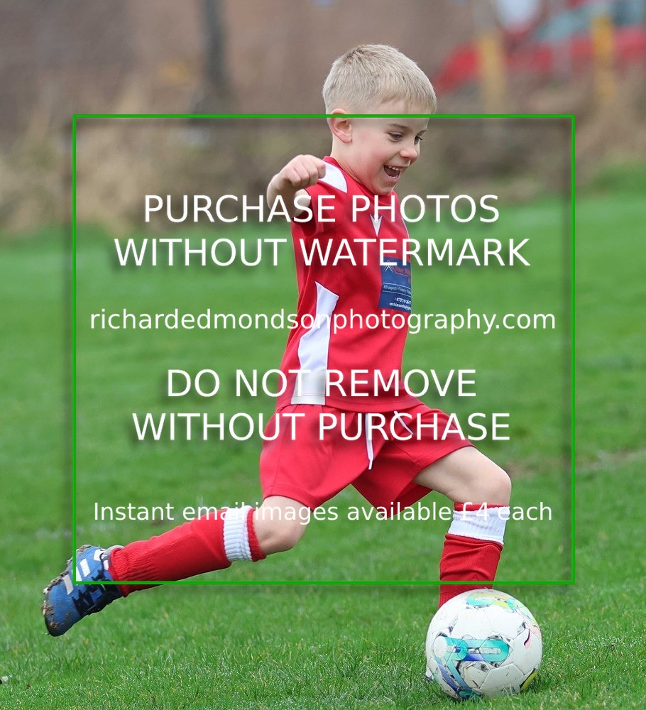 533A0694 - Ibis Under 7's (28/2/26)