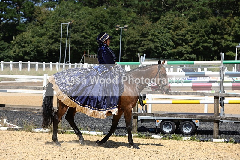 1X9A8998 - Class 24: Ridden Concours D'Elegance