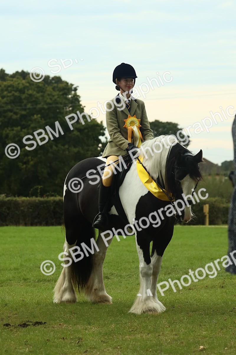 SBM_75059 - Ridden Pony Supreme Championship