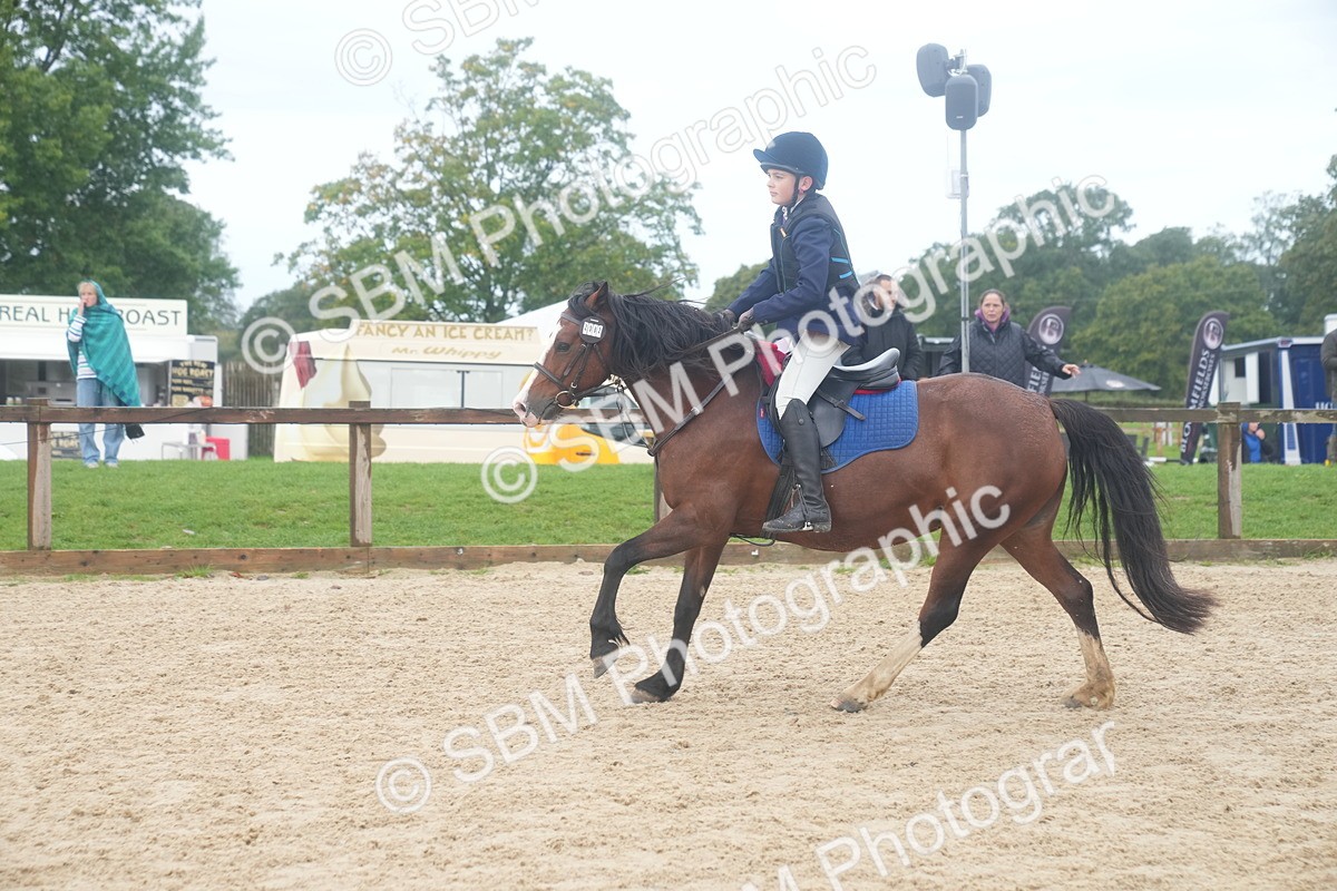 SBM_01892 - J54 - Clear Round 50cm