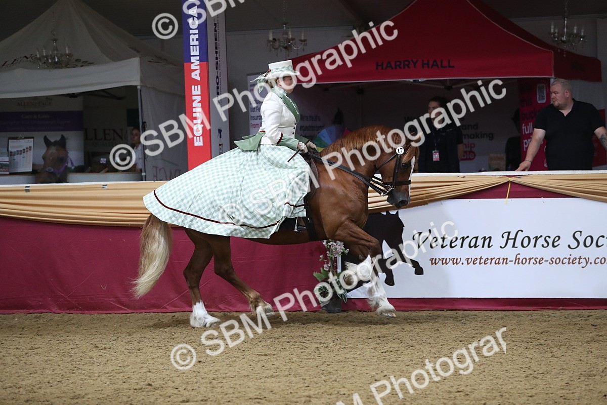 SBM_12004 - Class 106 Ridden Costume- Astride Adult (15-19)