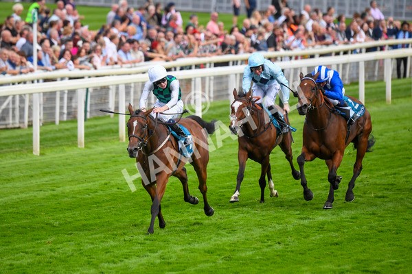 280723-Race 5-Midnight Mile-0532 - Race 5 7.15pm British EBF 40th Anniversary Lyric Fillies' Stakes