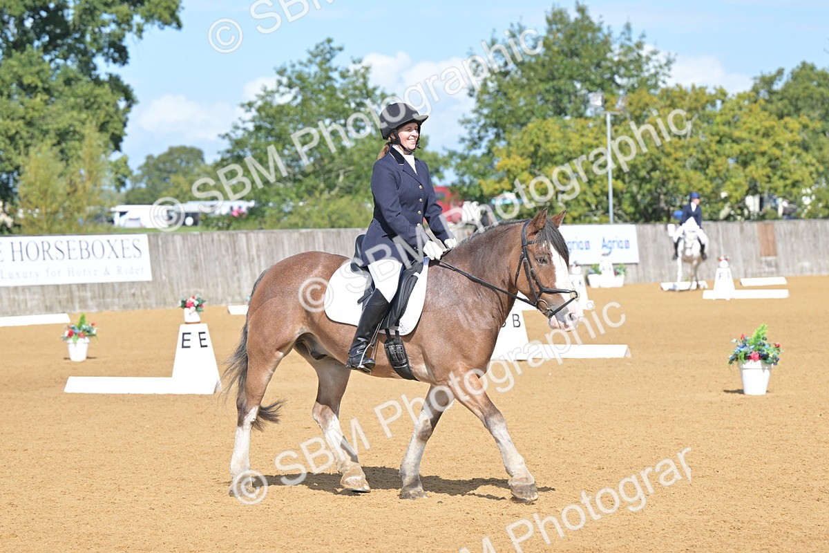 SBM_03887 - D2 - Small Tour Championship Intro 2